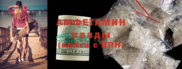 крисы Надым