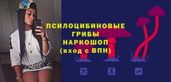 крисы Надым