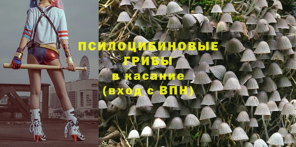 крисы Надым