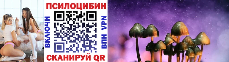 Псилоцибиновые грибы Psilocybine cubensis  Купить где  Могоча 
